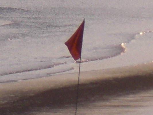 palolem_10